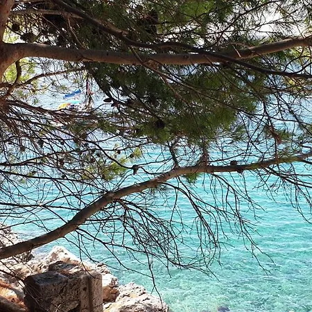 Adriatic * אורביץ