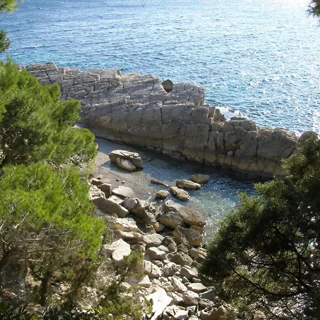 Apartman Adriatic *