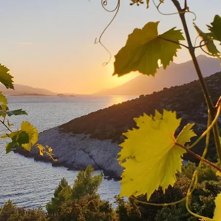 Appartement Adriatic *